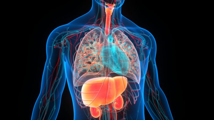 A resource microsite for cardiovascular-renal-metabolic syndrome in Malaysia.